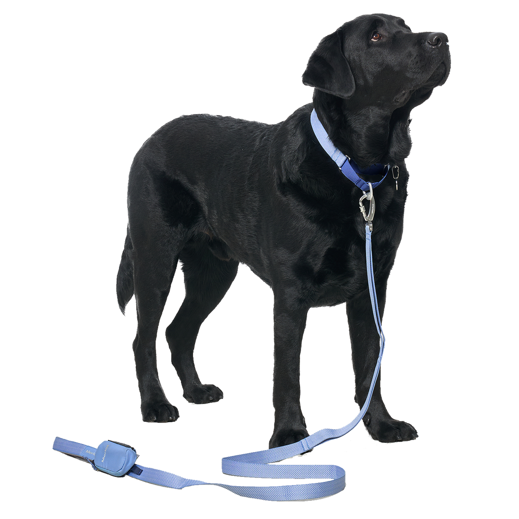 Ardor™ Collar Blue Stone