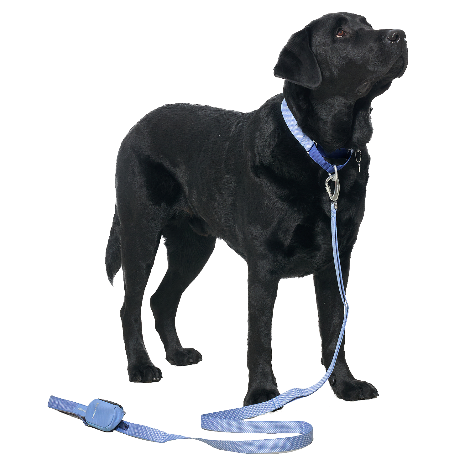 Ardor™ Collar Blue Stone