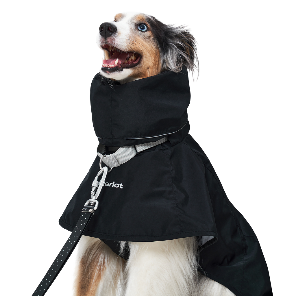 Ain™ Coat 4 Black