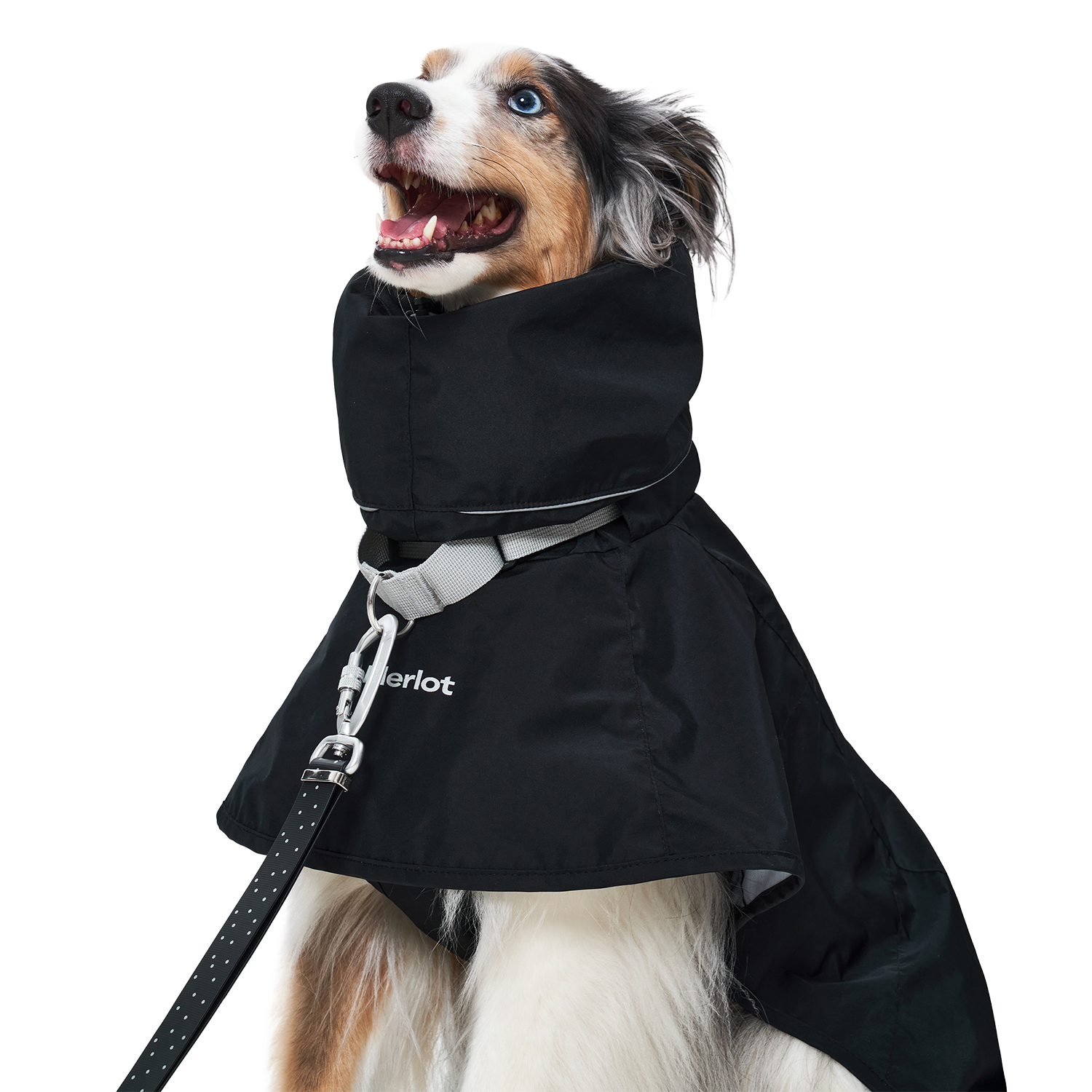 Ain™ Coat 4 Black