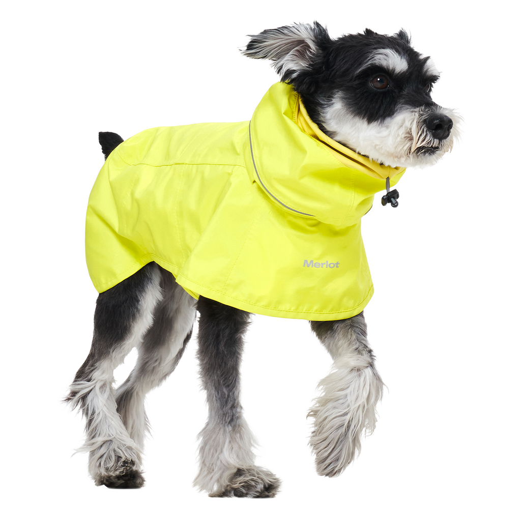 Ain™ Coat Lemon
