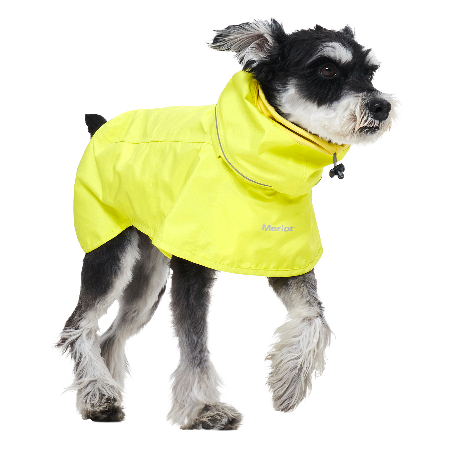 Ain™ Coat Lemon
