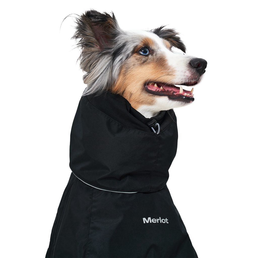 Ain™ Coat 4 Black