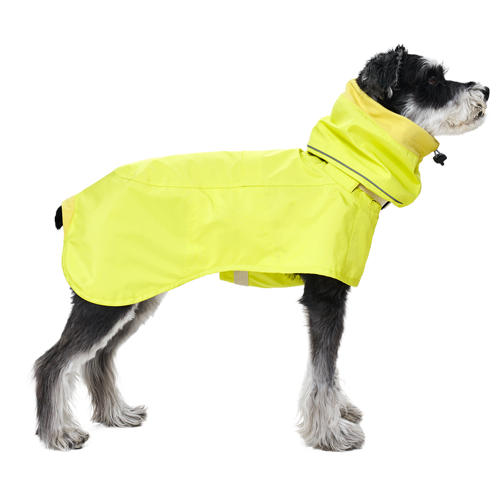 Ain™ Coat Lemon