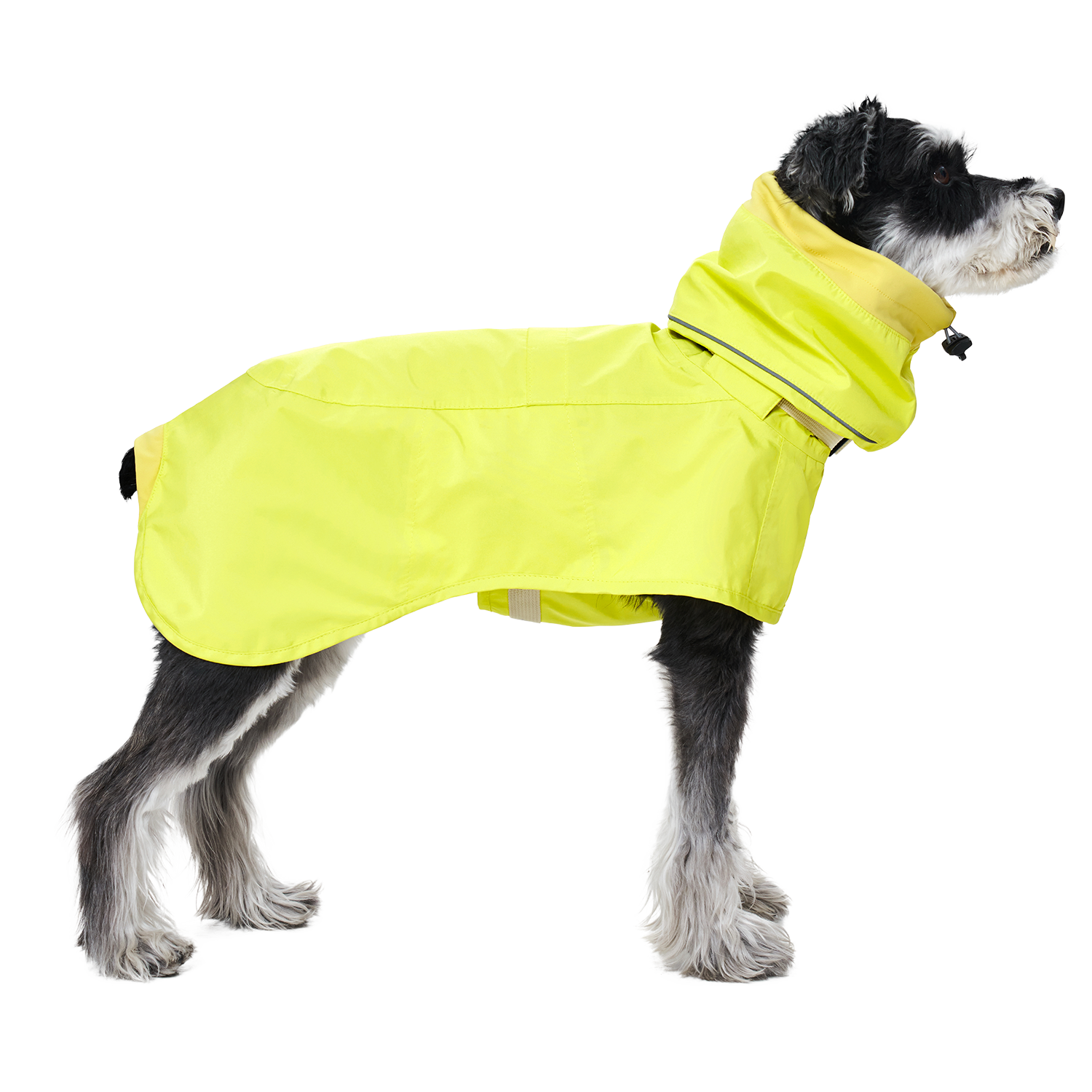 Ain™ Coat Lemon