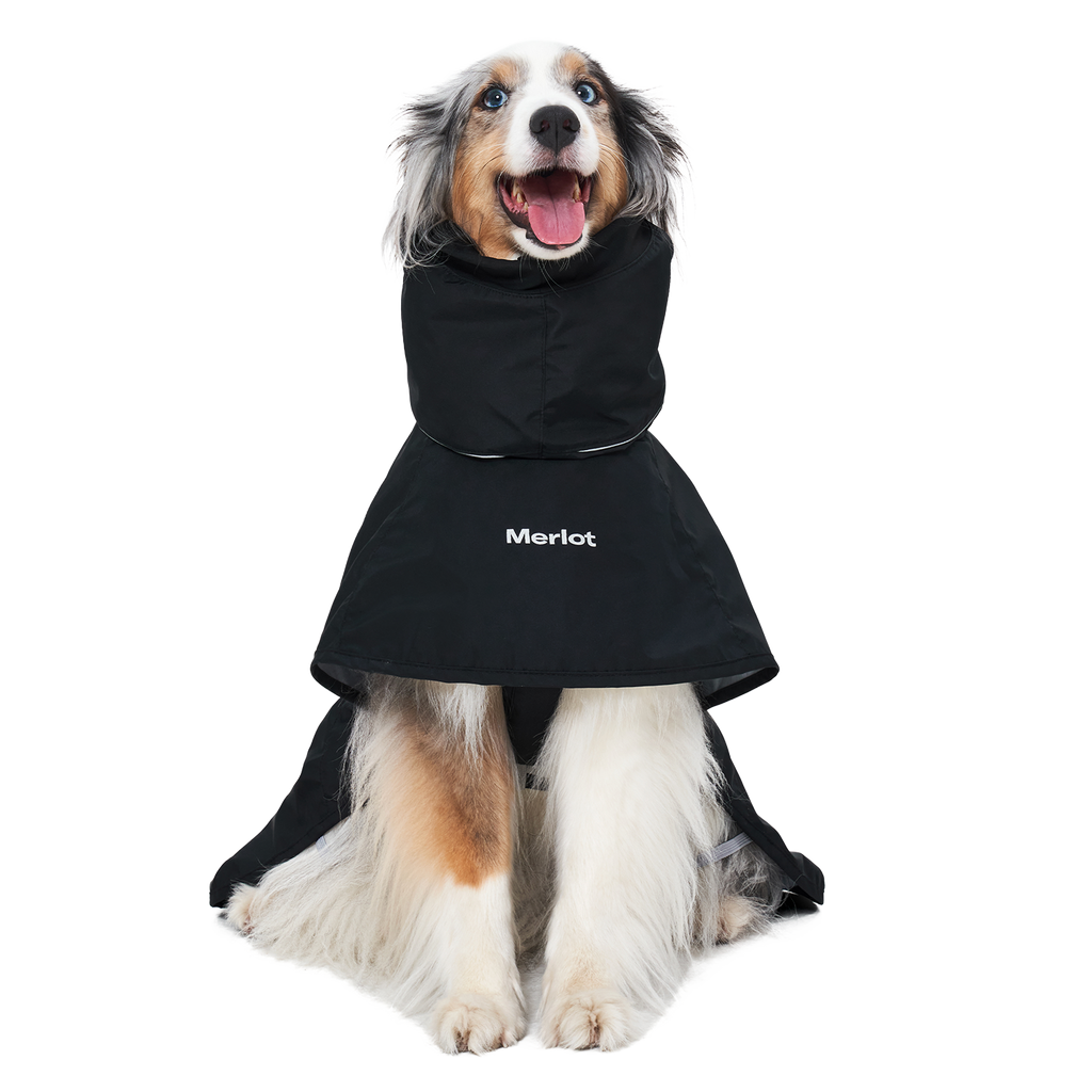 Ain™ Coat 4 Black