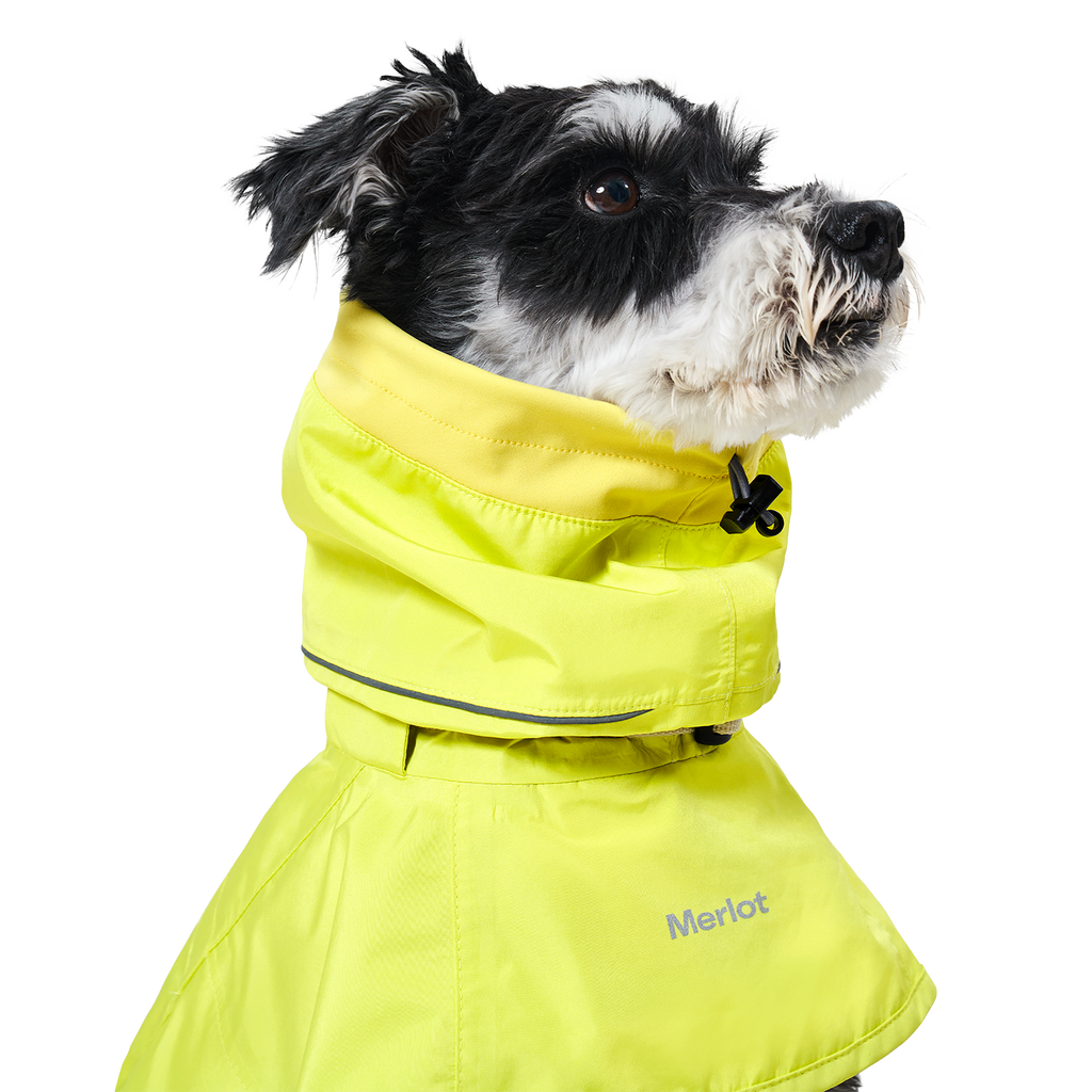 Ain™ Coat Lemon