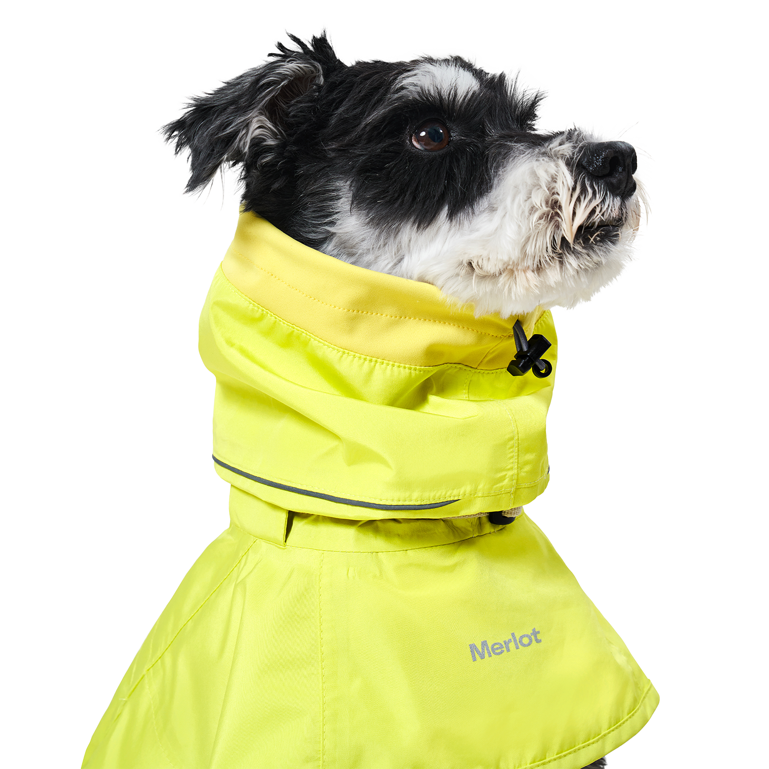 Ain™ Coat Lemon