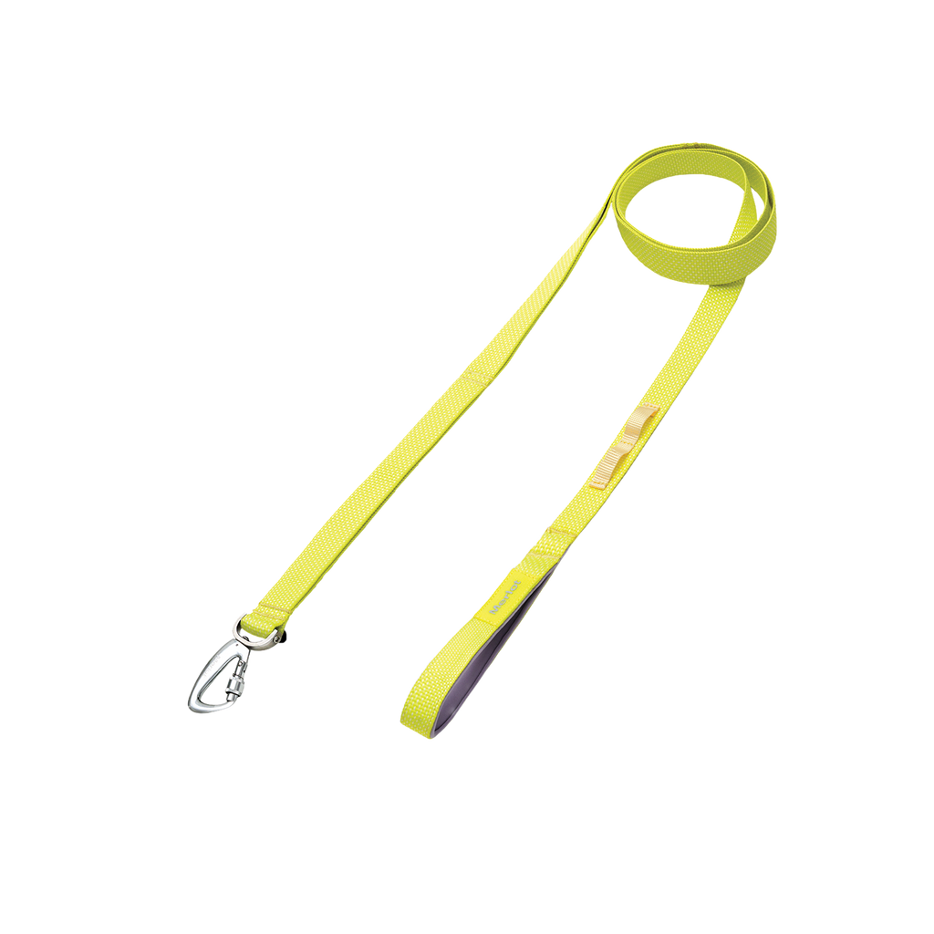 Ardor lightweight dog leash in Lemon
