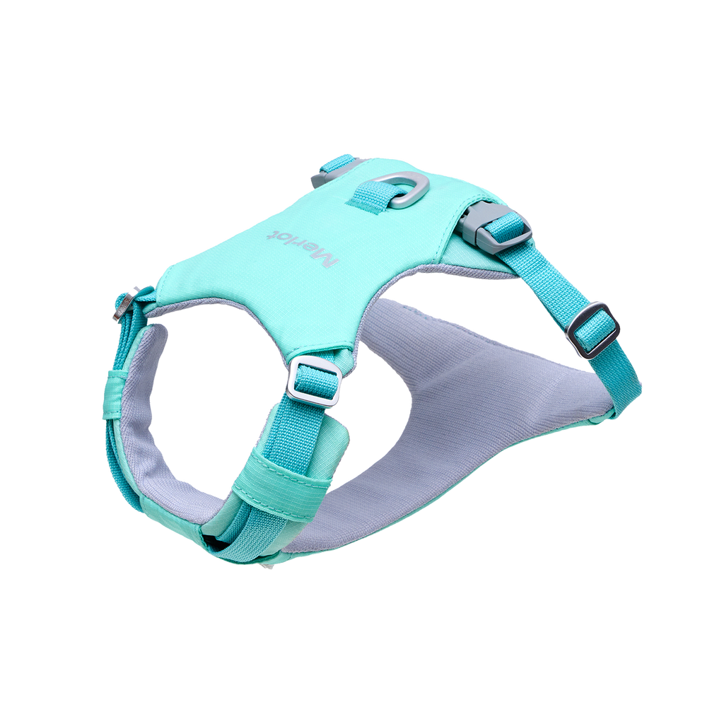 Ardor™ Harness Mint Stone