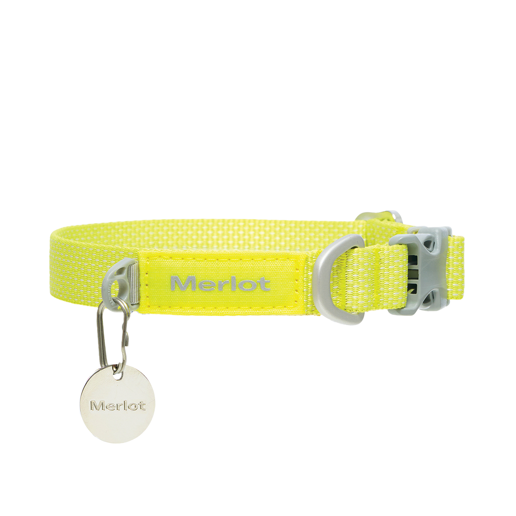 Ardor dog collar in Lemon