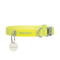 Ardor dog collar in Lemon