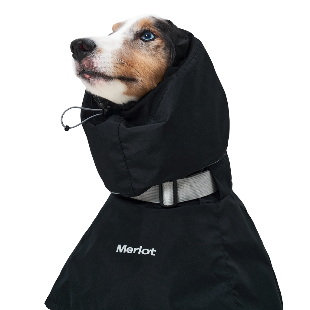 Ain™ Coat 4 Black