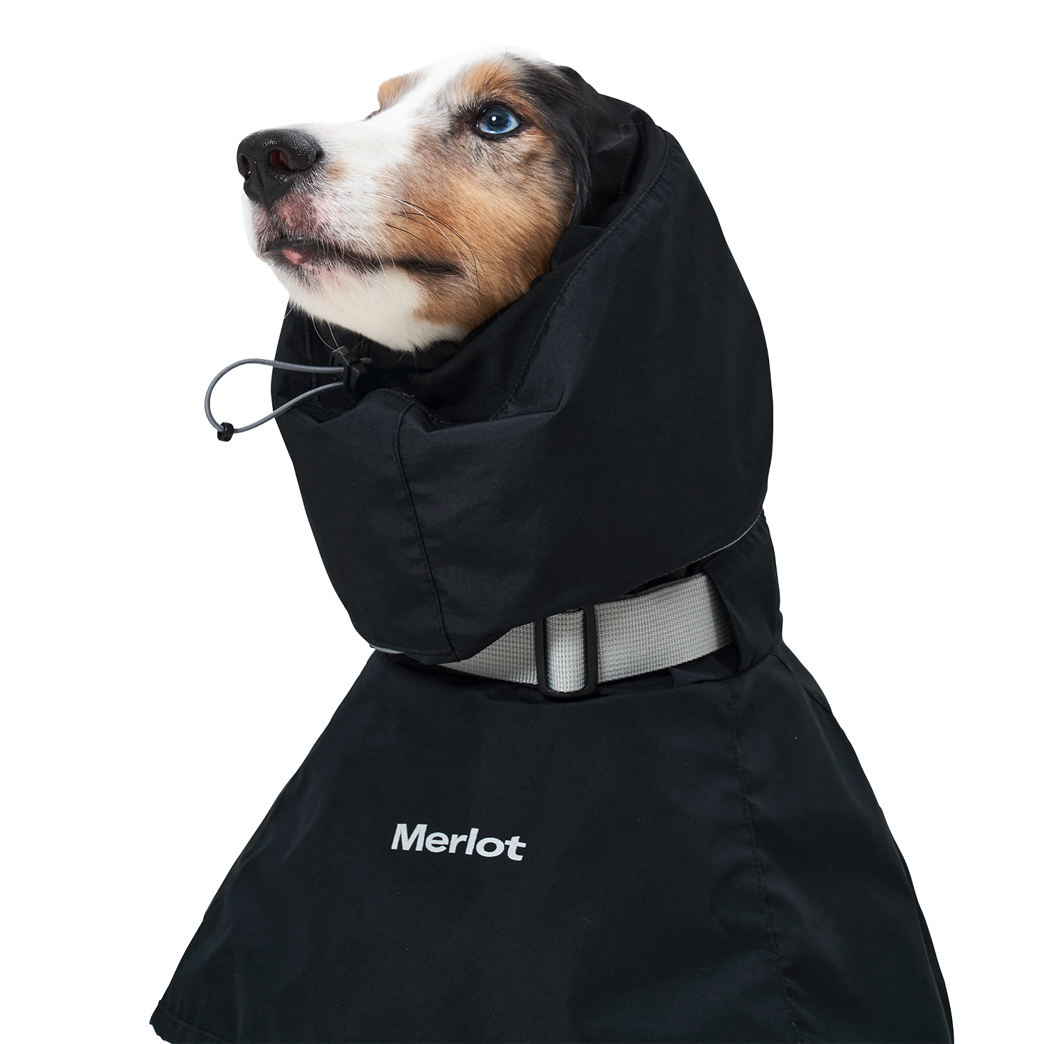 Ain™ Coat 4 Black