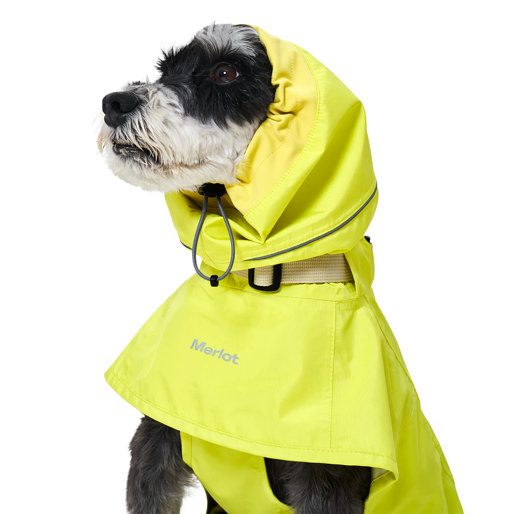 Ain™ Coat Lemon