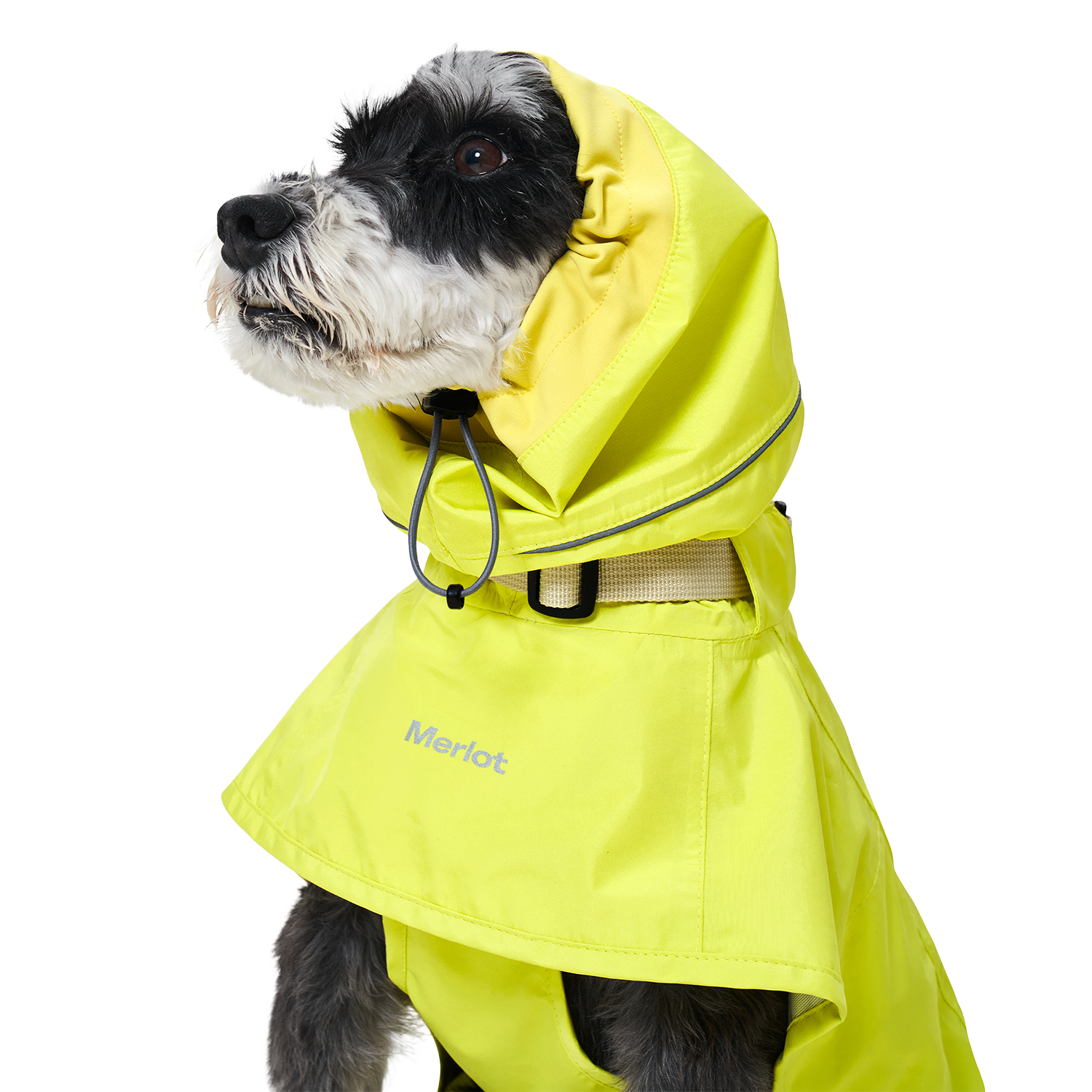 Ain™ Coat Lemon