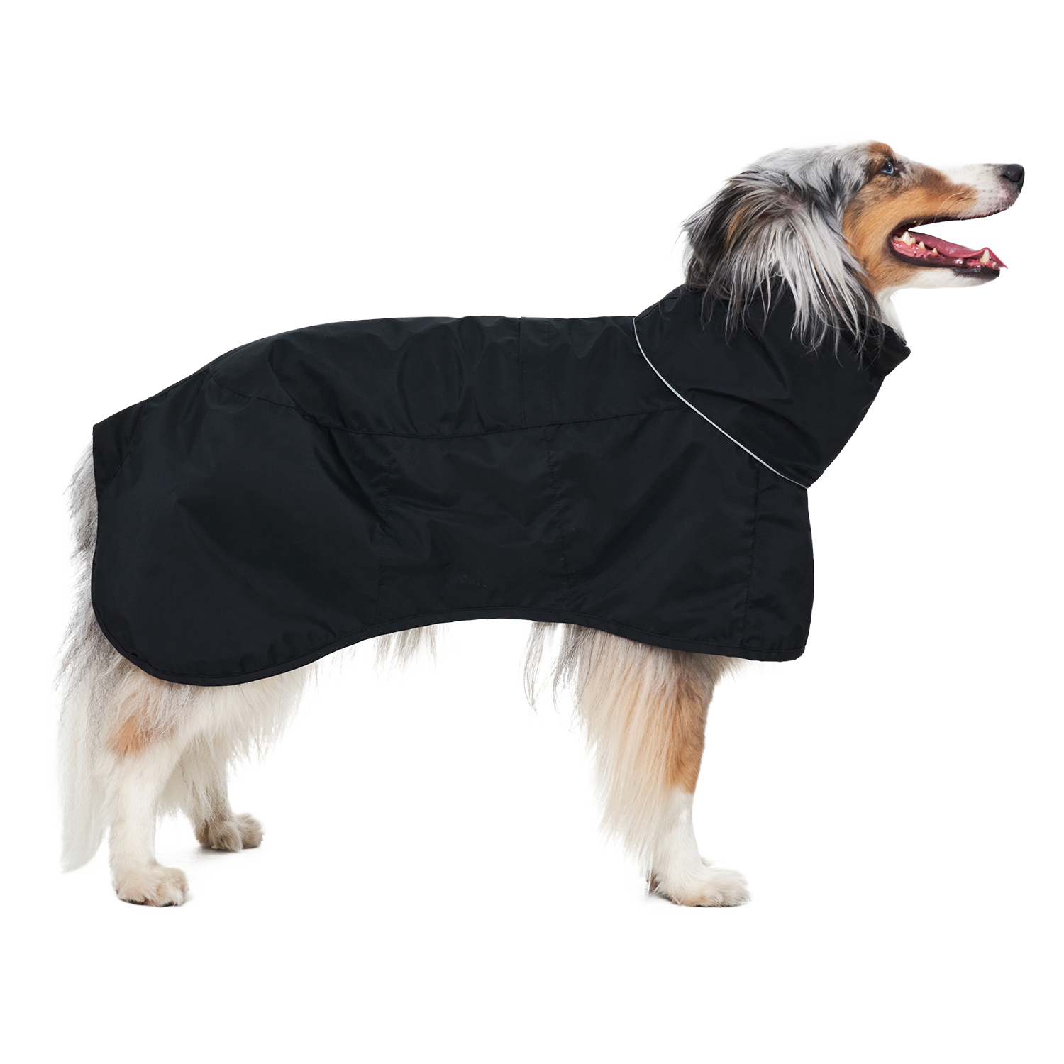 Ain™ Coat 4 Black