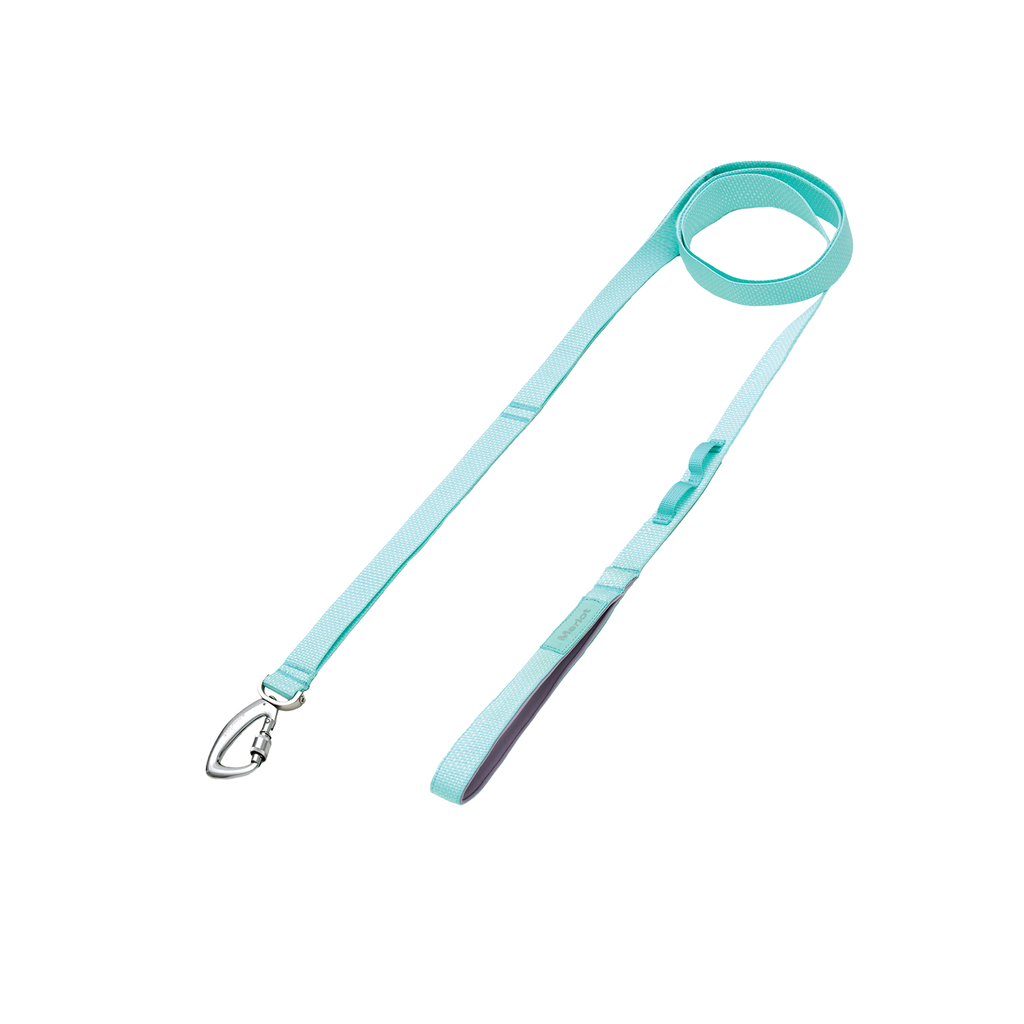 Ardor lightweight dog leash in Mint