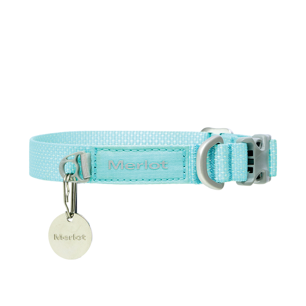 Ardor dog collar in Mint