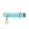 Ardor dog collar in Mint