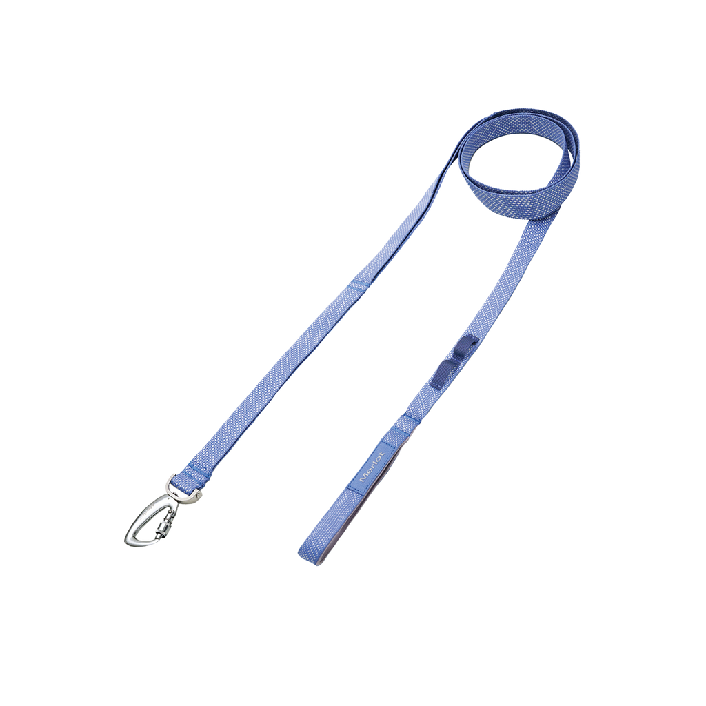 Ardor lightweight dog leash in Blue Stone