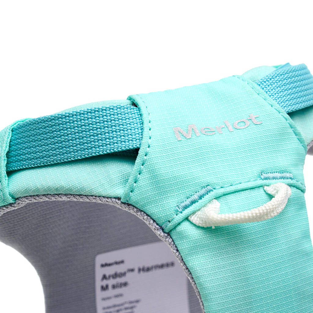 Ardor™ Harness Mint Stone