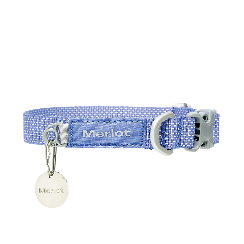 Ardor dog collar in Blue Stone