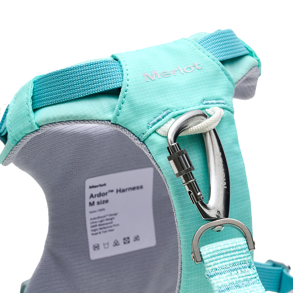 Ardor™ Harness Mint Stone