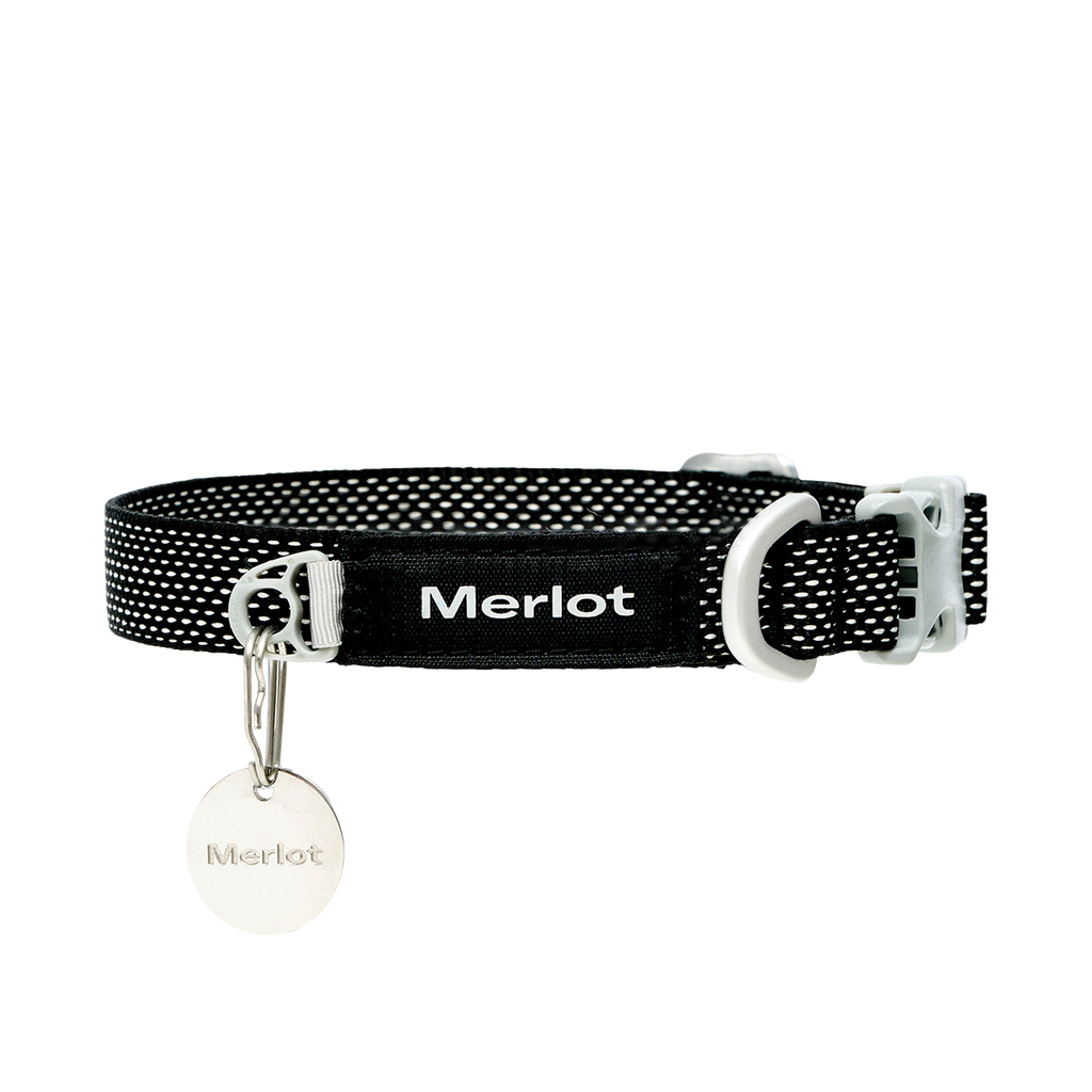 Ardor dog collar in Black