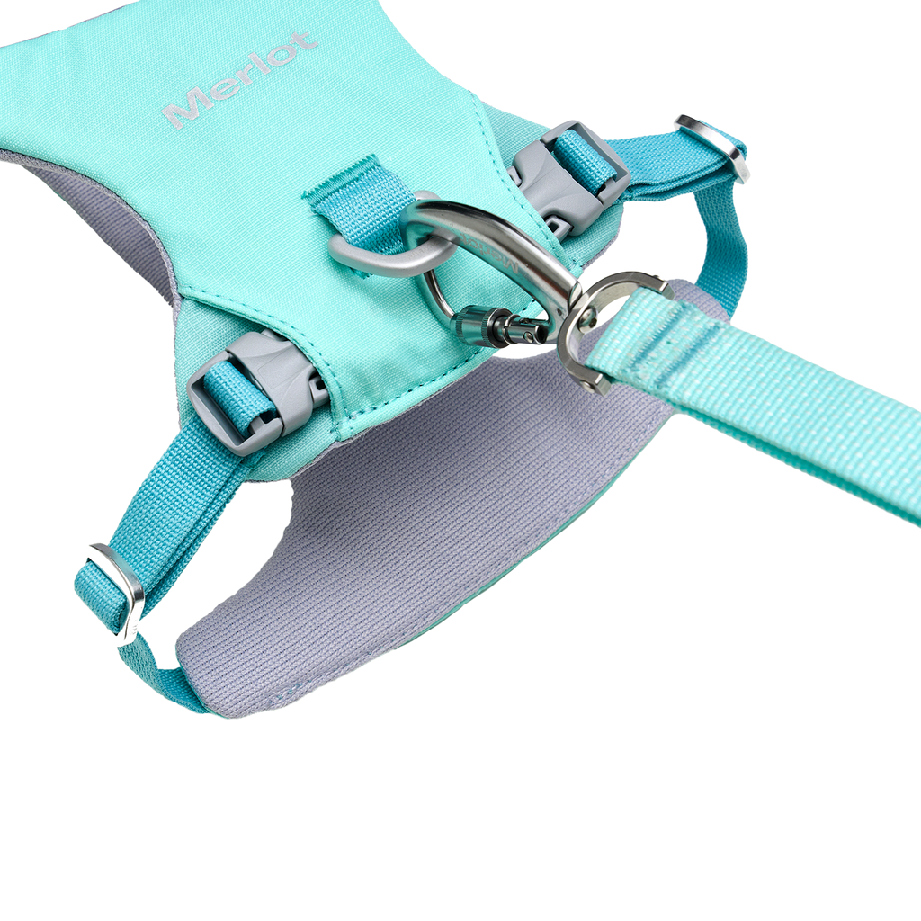 Ardor™ Harness Mint Stone