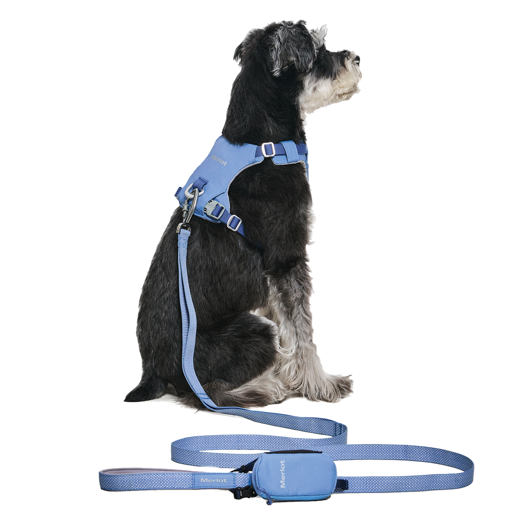 Ardor Free Leash Blue Stone — hands-free 3-way dog leash by Merlot, carried by Ondo