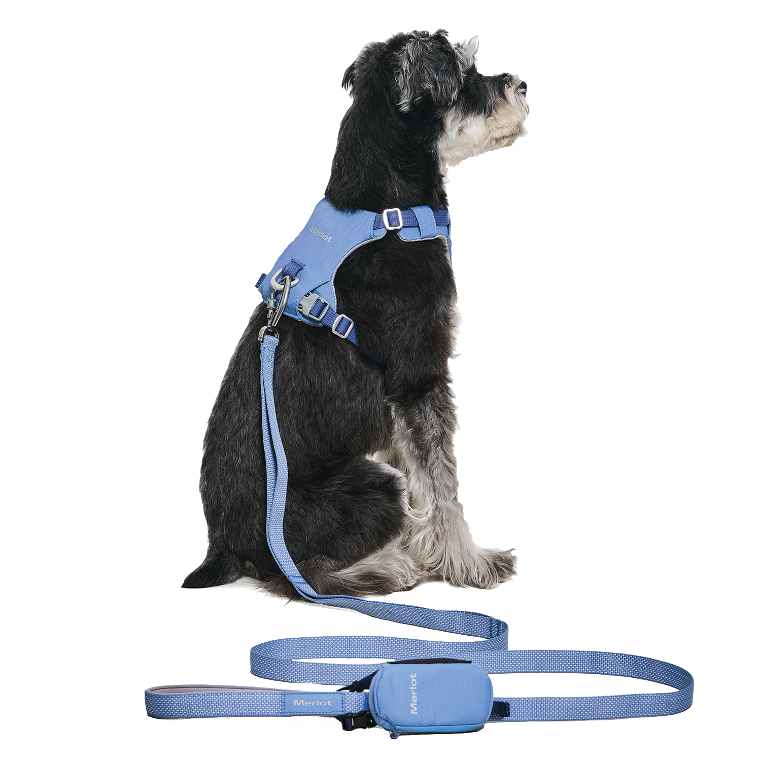 Ardor Free Leash Blue Stone — hands-free 3-way dog leash by Merlot, carried by Ondo