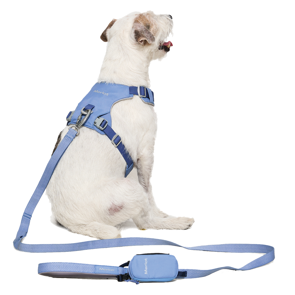 Ardor Free Leash Blue Stone — hands-free 3-way dog leash by Merlot, carried by Ondo