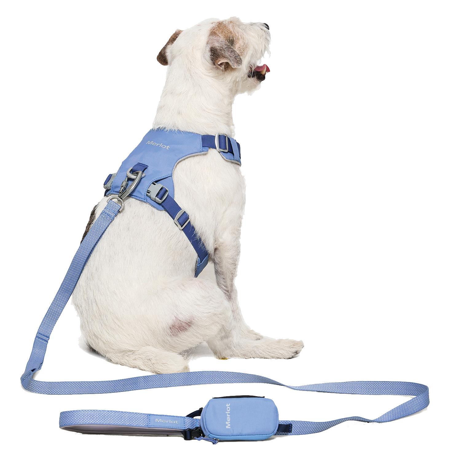 Ardor Free Leash Blue Stone — hands-free 3-way dog leash by Merlot, carried by Ondo