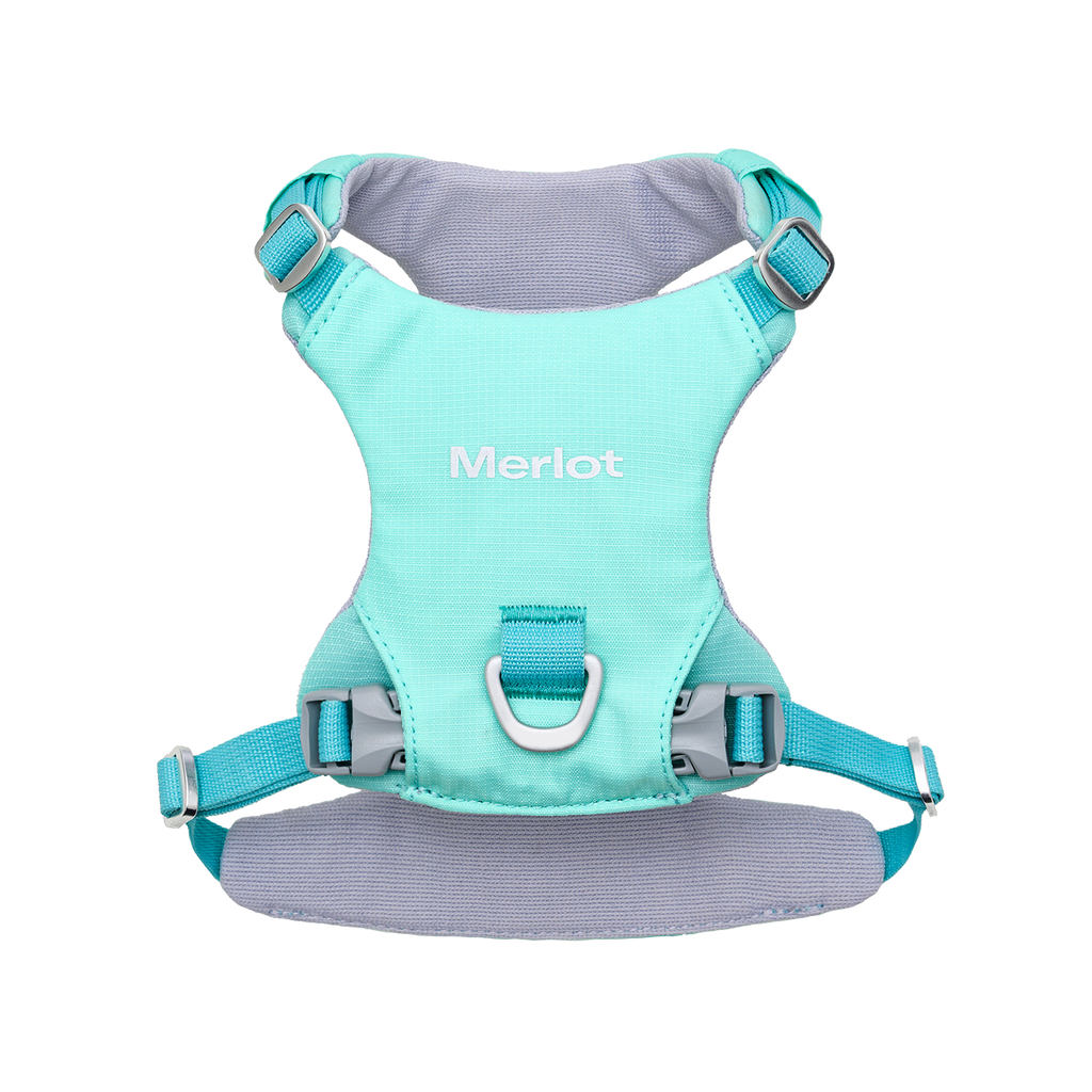 Ardor lightweight dog harness in Mint Stone