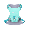 Ardor lightweight dog harness in Mint Stone