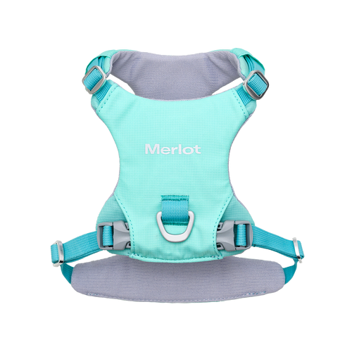 Ardor lightweight dog harness in Mint Stone