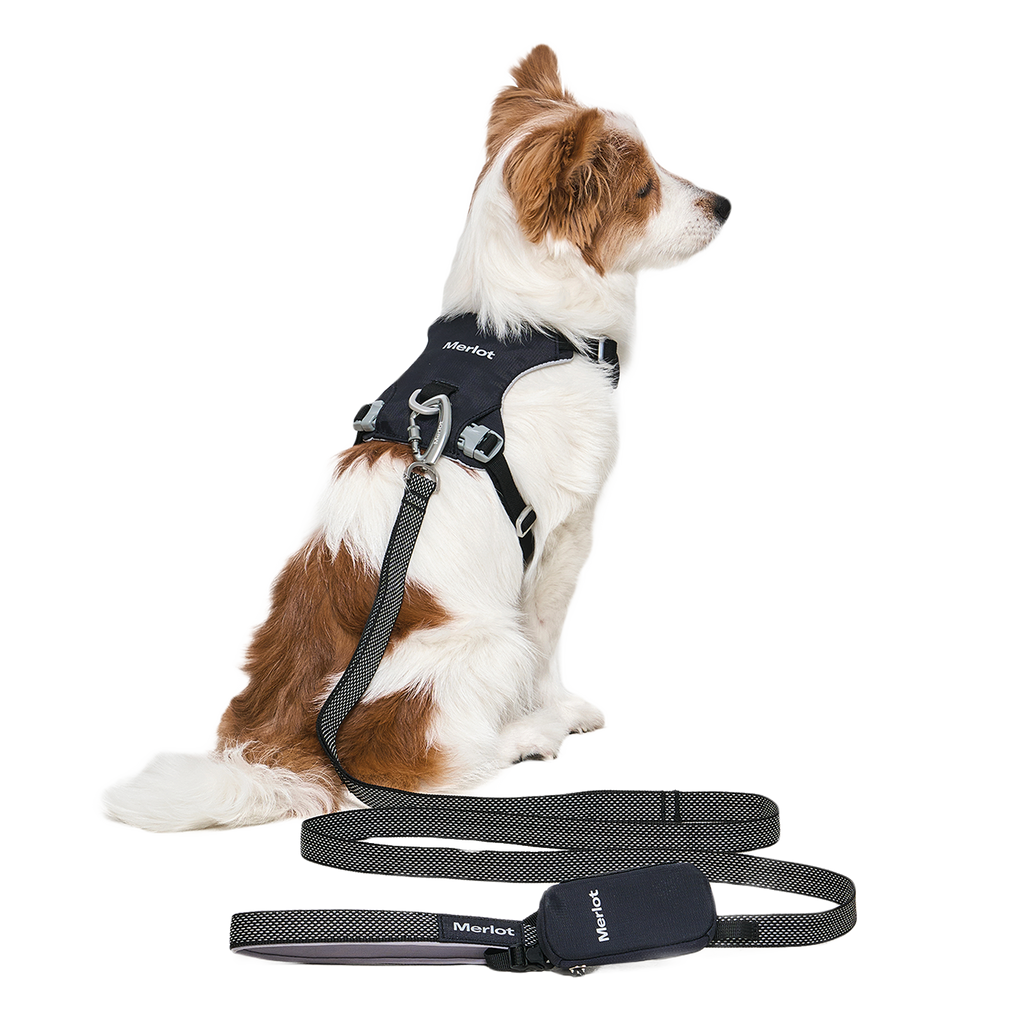 Ardor Free Leash Black — hands-free 3-way dog leash by Merlot, carried by Ondo