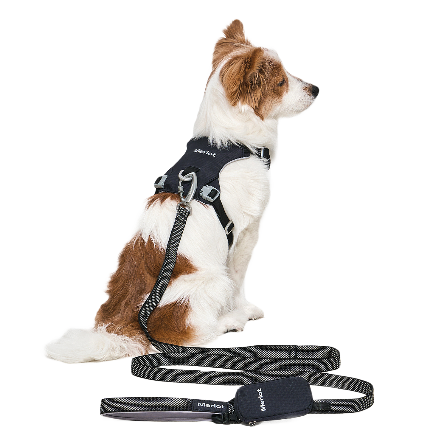 Ardor Free Leash Black — hands-free 3-way dog leash by Merlot, carried by Ondo