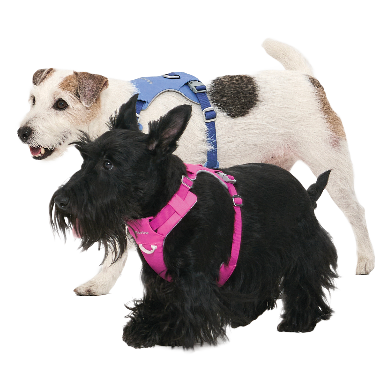 Ardor Free Leash Blue Stone — hands-free 3-way dog leash by Merlot, carried by Ondo