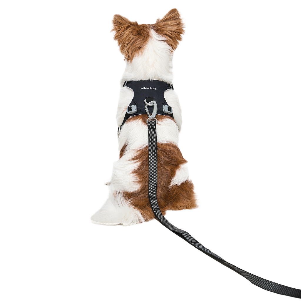 Ardor Free Leash Black — hands-free 3-way dog leash by Merlot, carried by Ondo