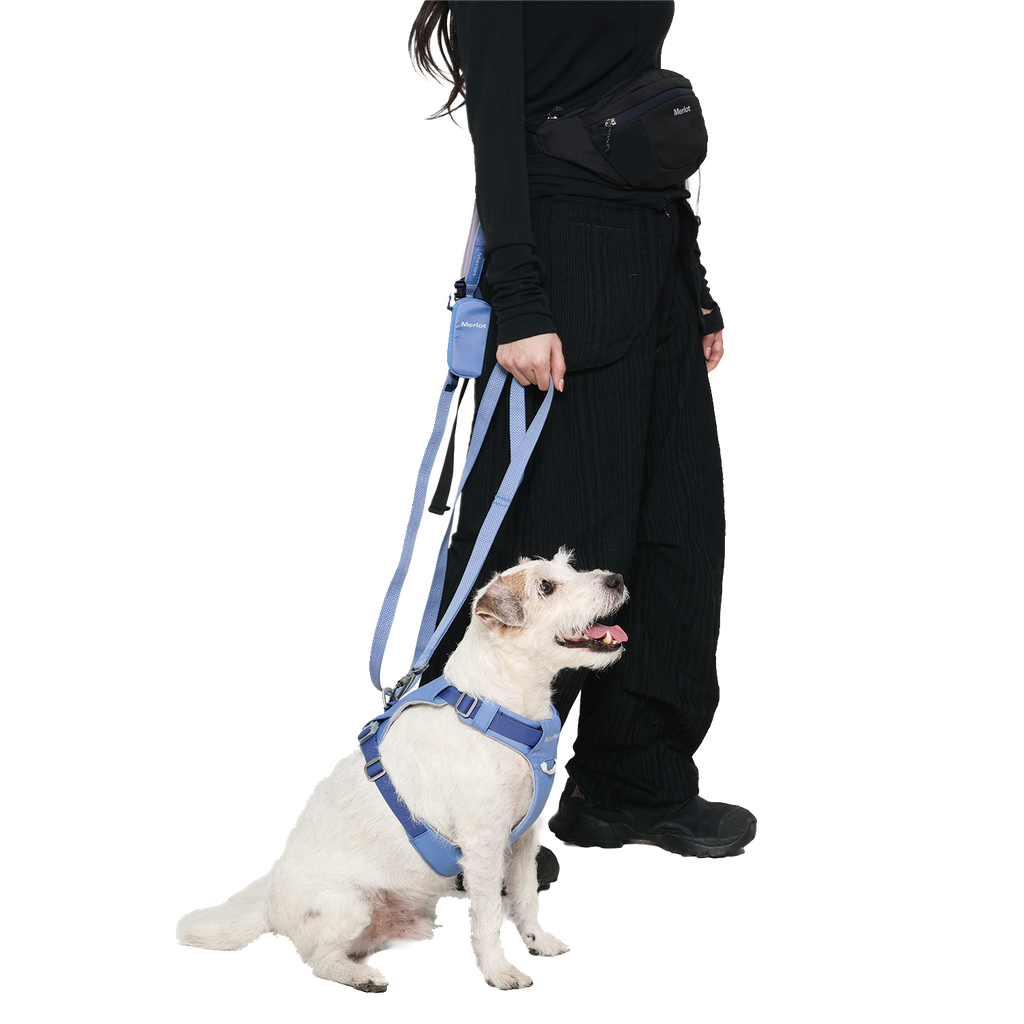 Ardor Free Leash Blue Stone — hands-free 3-way dog leash by Merlot, carried by Ondo