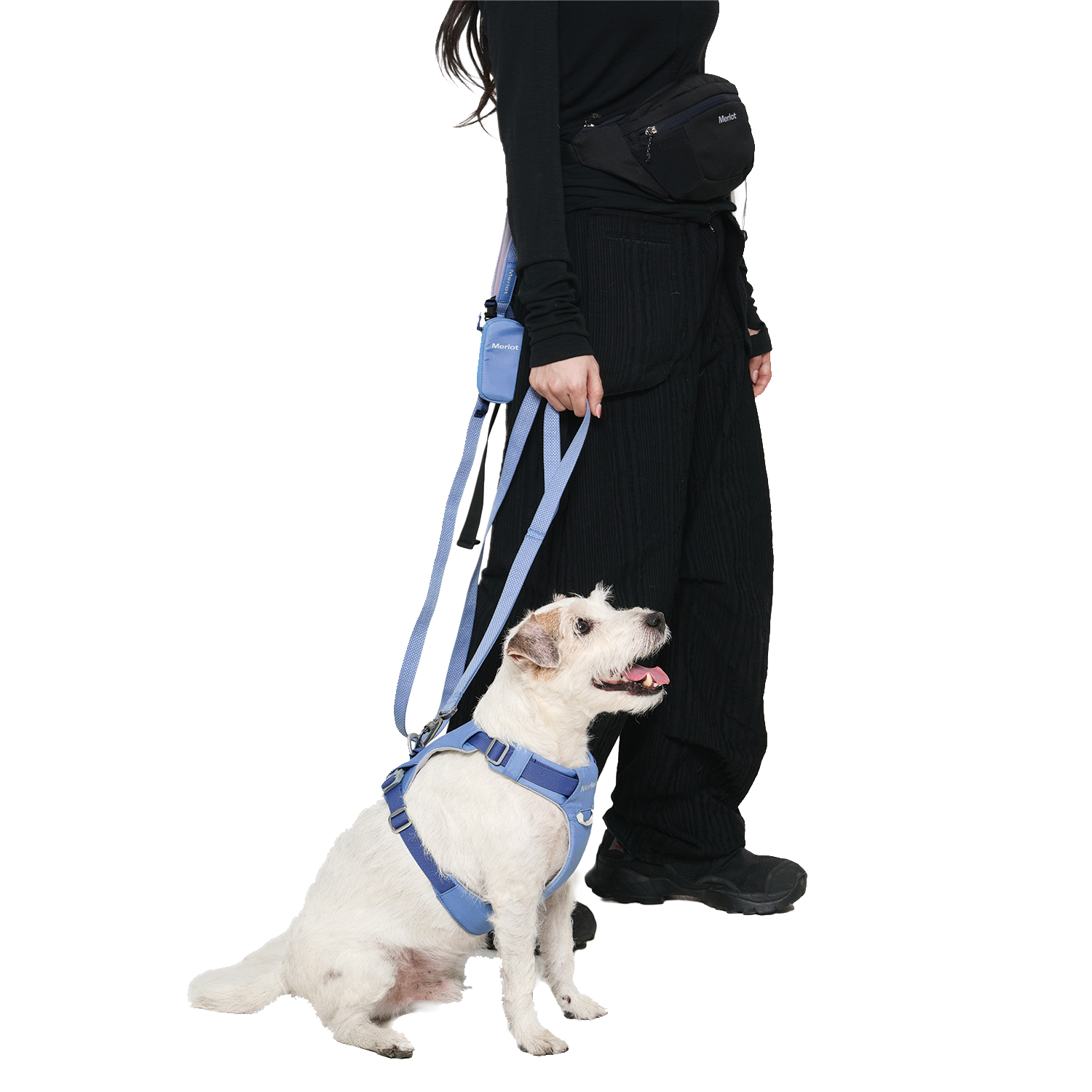 Ardor Free Leash Blue Stone — hands-free 3-way dog leash by Merlot, carried by Ondo