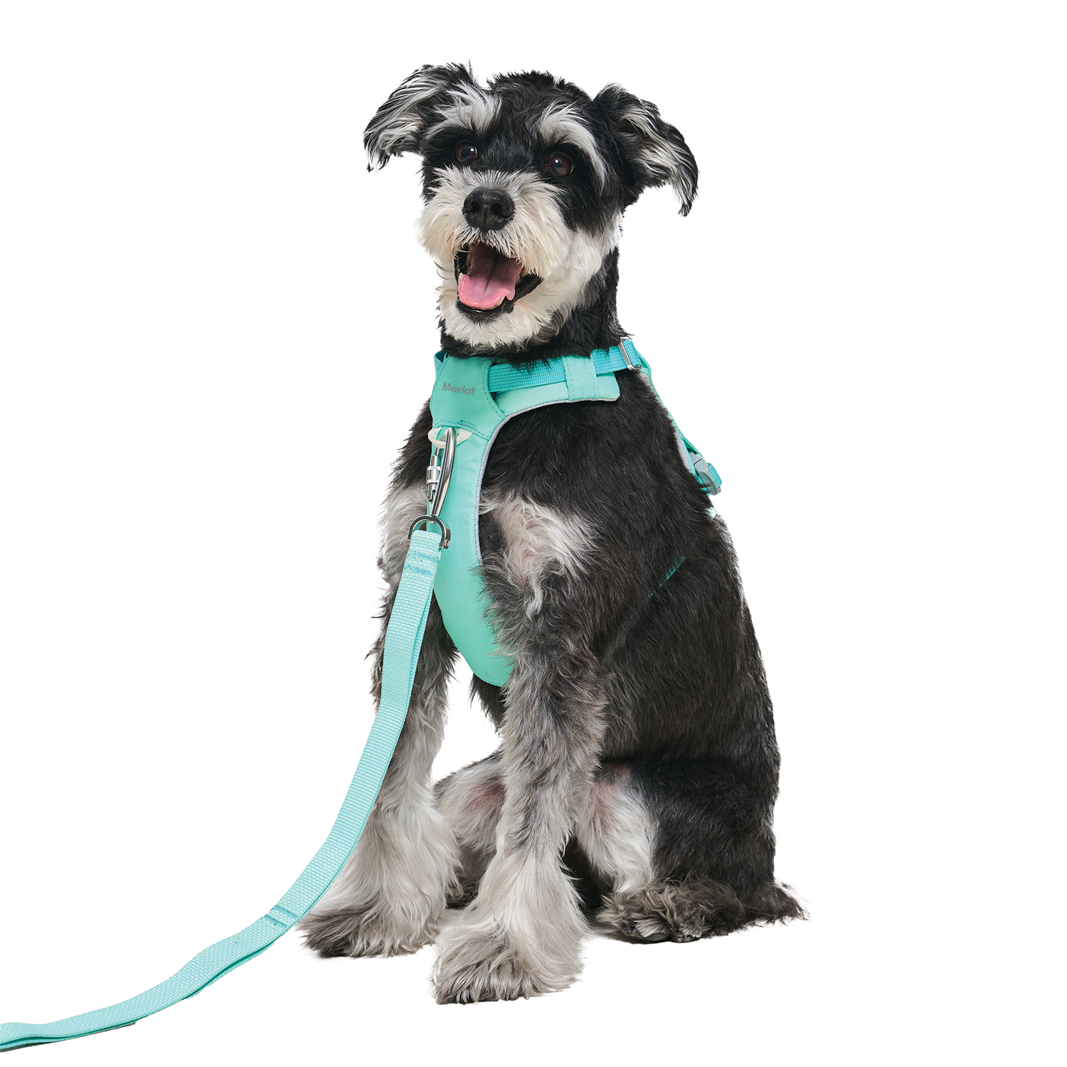 Ardor Free Leash Mint — hands-free 3-way dog leash by Merlot, carried by Ondo
