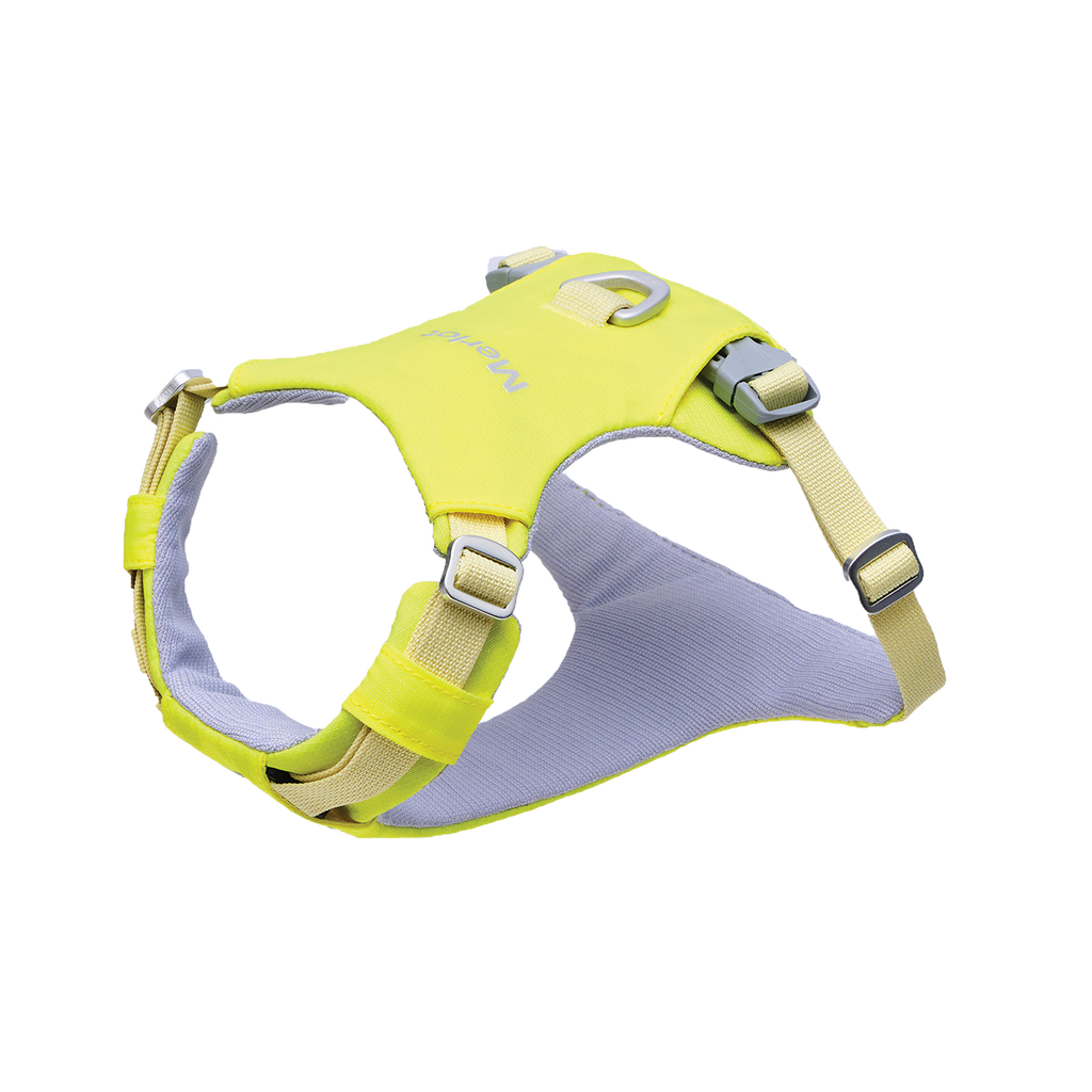 Ardor™ Harness Lemon Stone