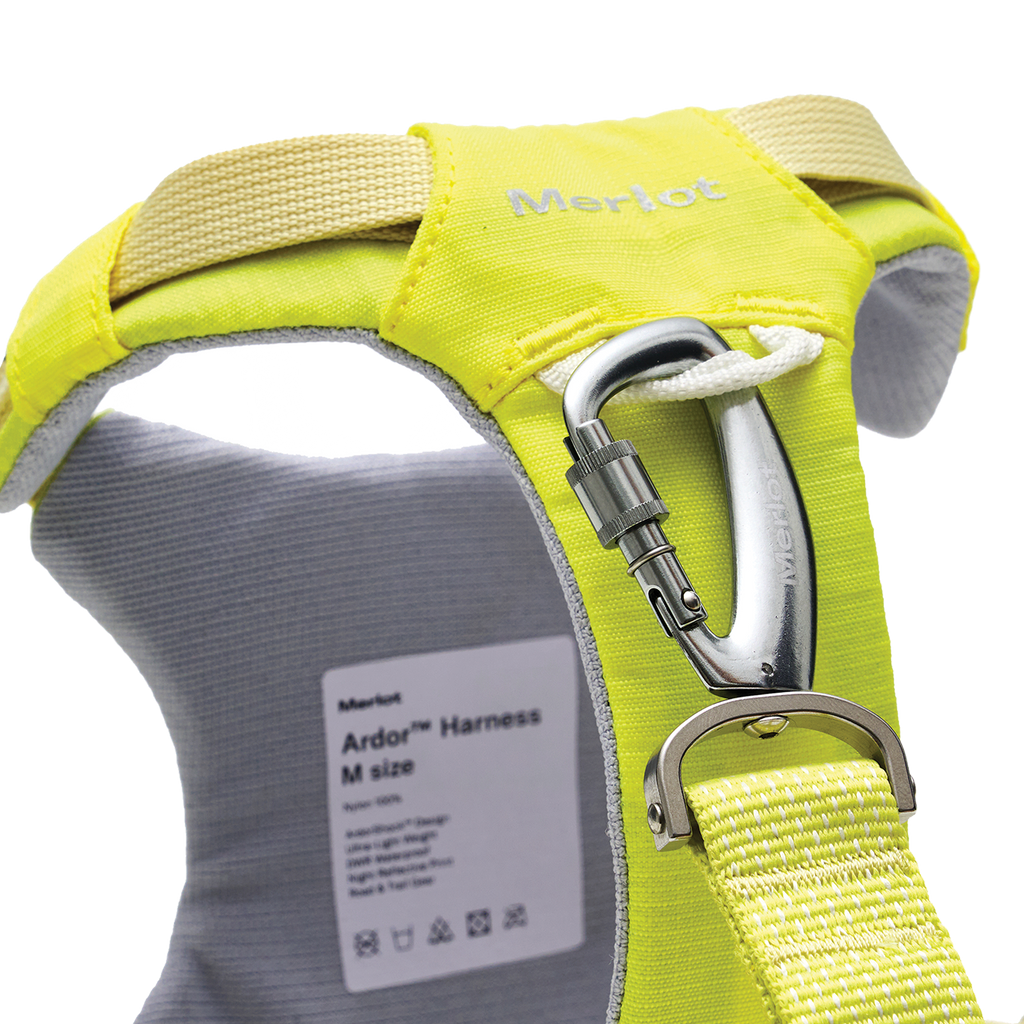Ardor™ Harness Lemon Stone