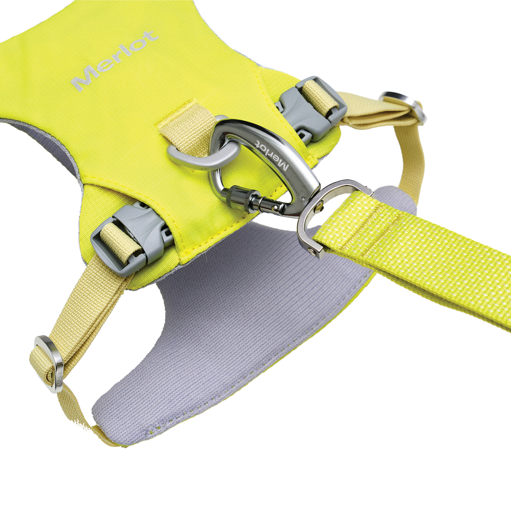 Ardor™ Harness Lemon Stone