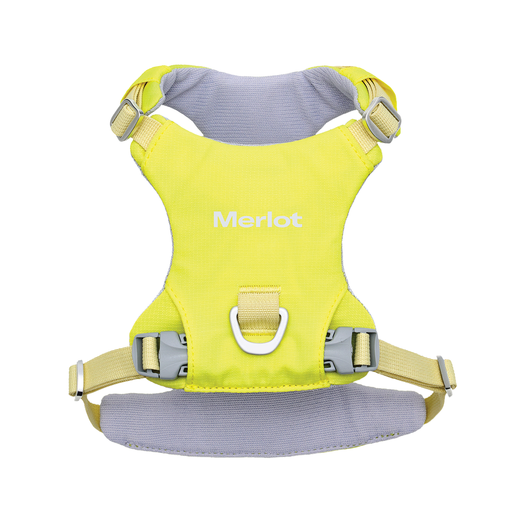 Ardor lightweight dog harness in Lemon Stone